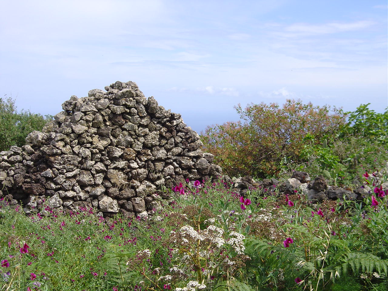 Las Montañetas