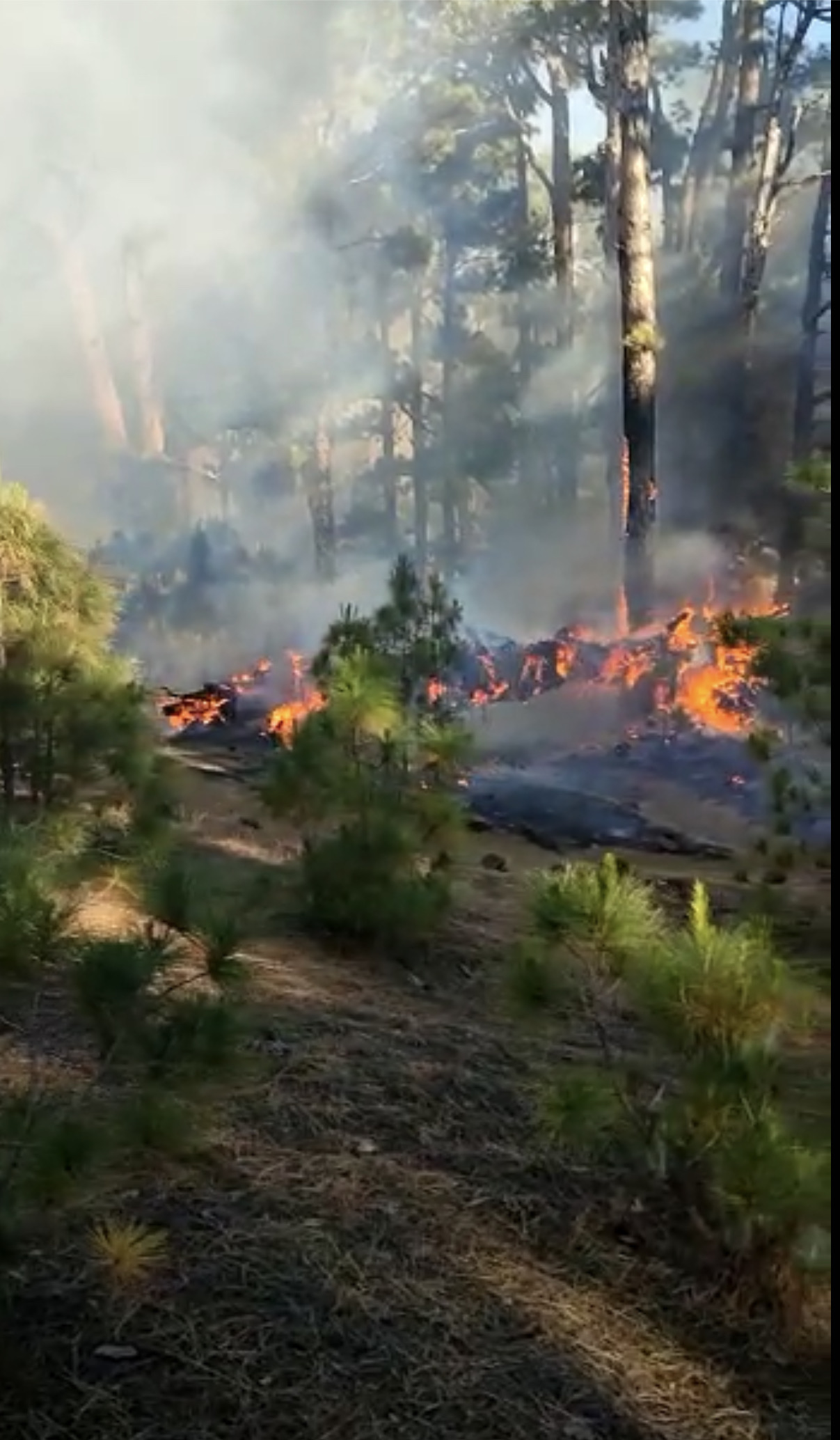 Foco del incendio