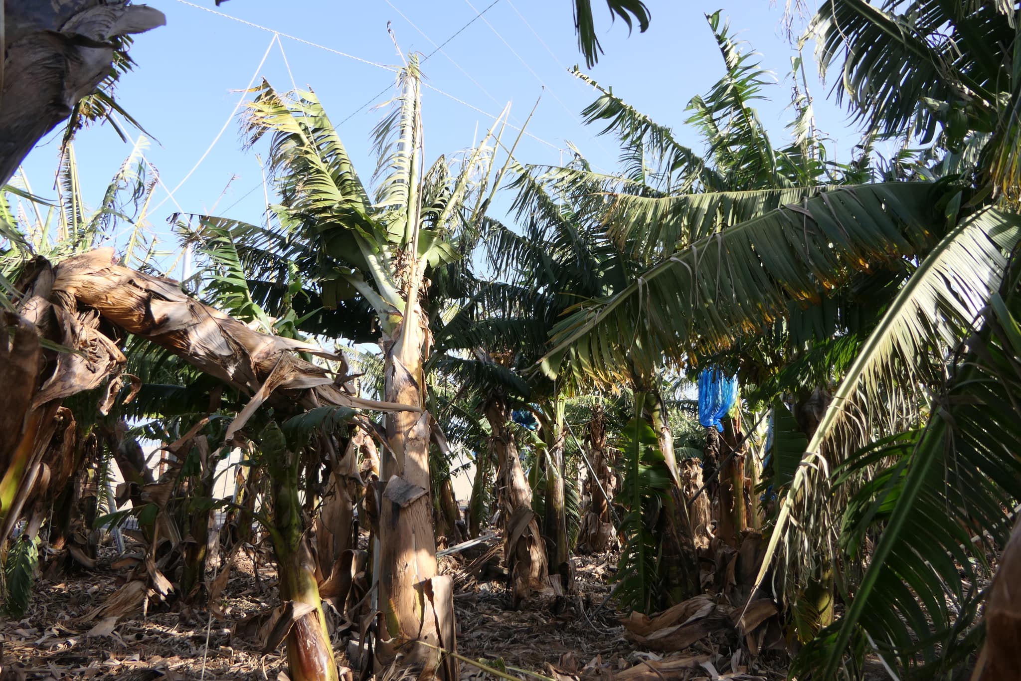 Momento de la visita