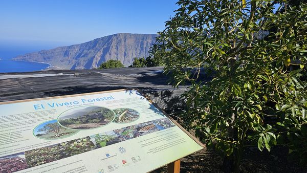 El CREAL El Hierro