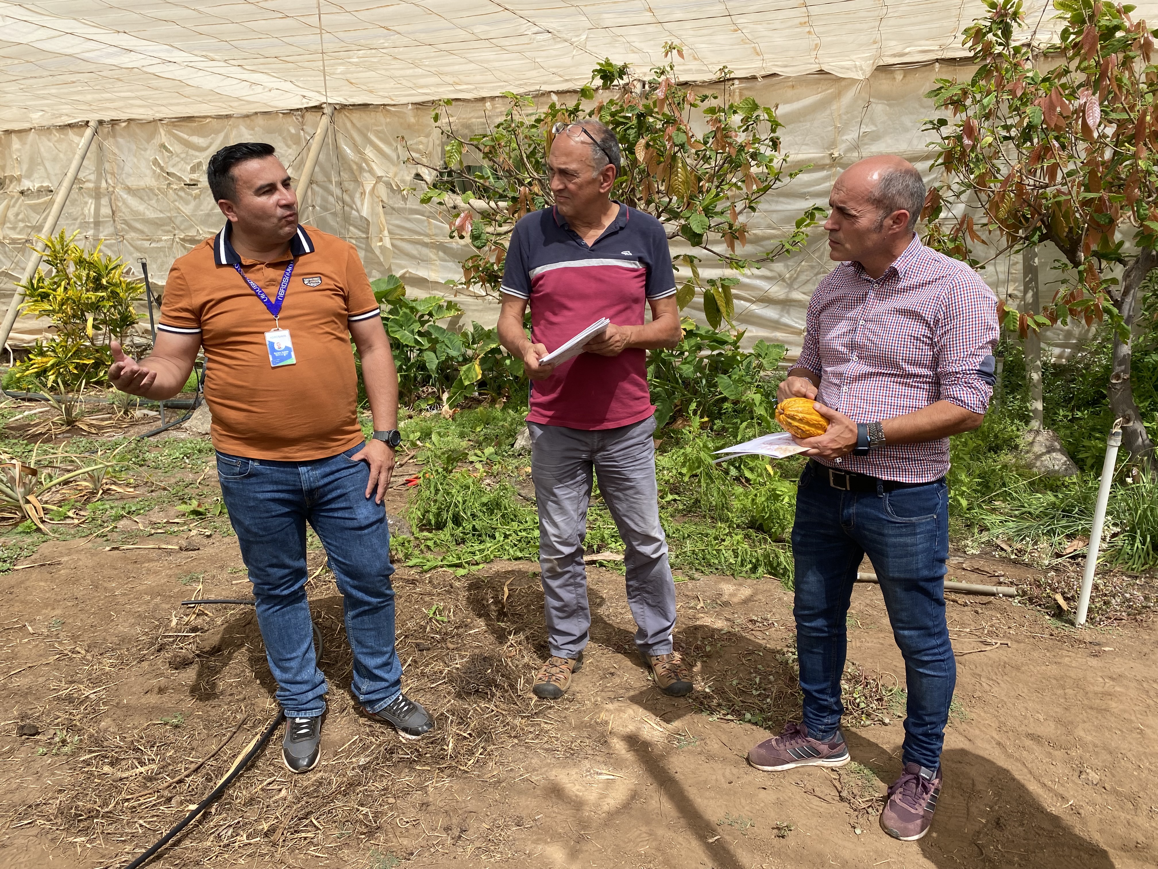 Visita cacao