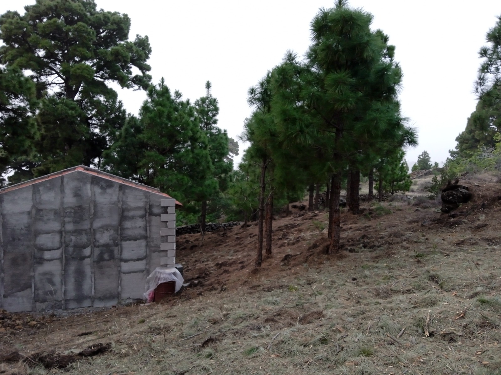 Después del tratamiento en la interfaz urbano forestal