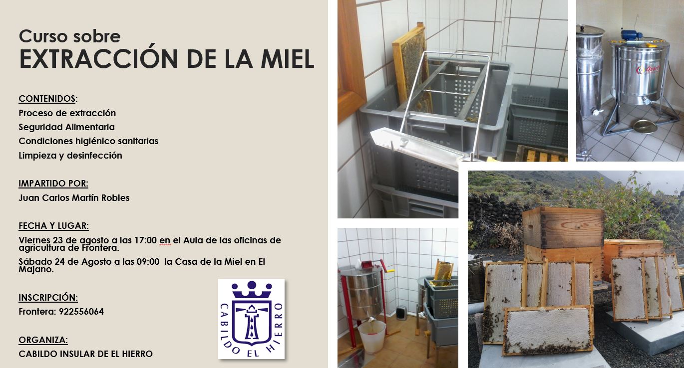 Cartel curso