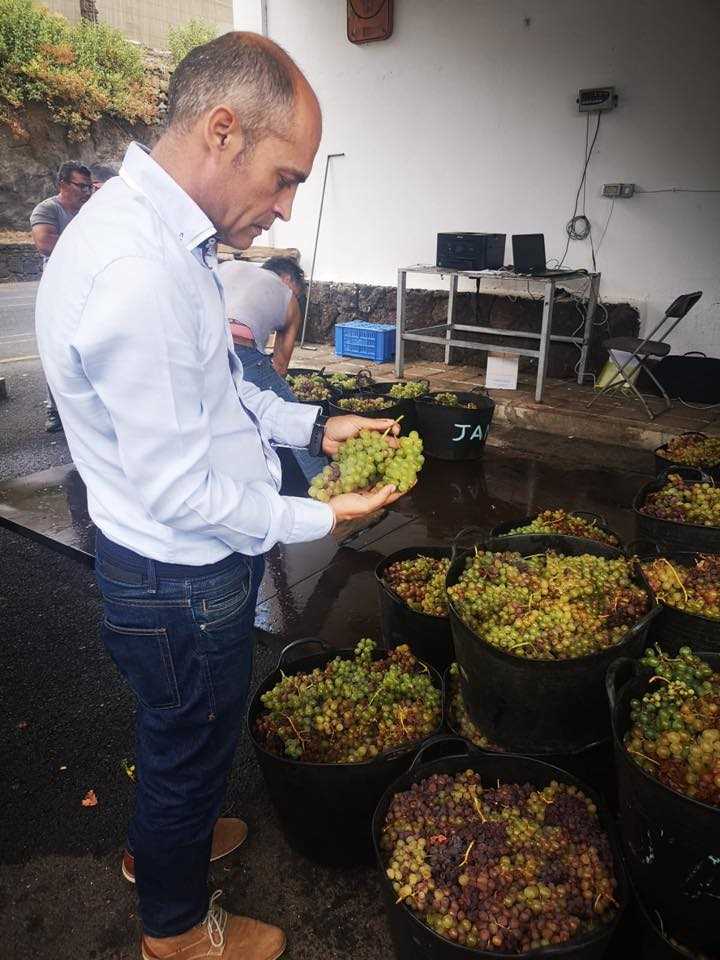 Cabildo de El Hierro destina una ayuda directa a la Denominación de Origen de 25.000 euros en 2020