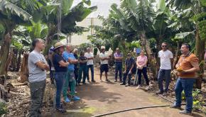 Visita cacao