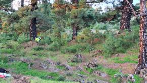 Antes de los tratamientos preventivos en el interfaz urbano forestal en Las Casas, El Pinar