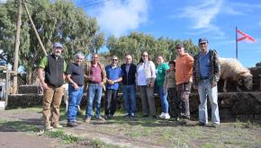 El Hierro impulsa la conservación de la oveja canaria