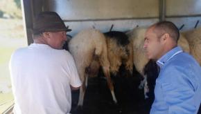 El Cabildo concede una ayuda directa a la Asociación de Defensa Sanitaria Ganadera de El Hierro 