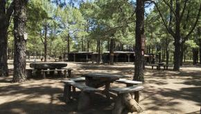 Finaliza la situación de Alerta por Riesgo de Incendios Forestales en El Hierro