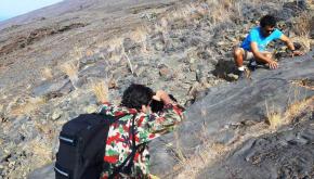 Periodistas europeos de viajes se interesan por el destino El Hierro