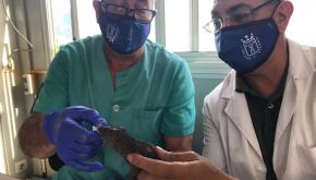 5fb7a8d8c769070017cb58ce