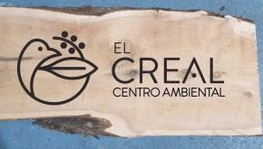 El Cabildo reabre el Vivero Forestal insular coincidiendo con el Día Mundial del Medio Ambiente