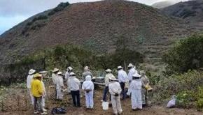 5fb2721a938731001799245e